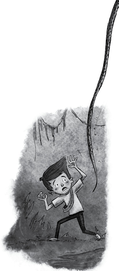 Иллюстрация к книге — Школа Жуткинса. Джунгли на перемене! [i_018.jpg]