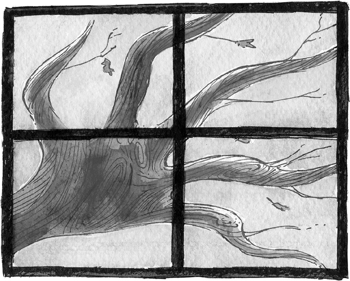 Иллюстрация к книге — Школа Жуткинса. Опасное дежурство [i_015.jpg]