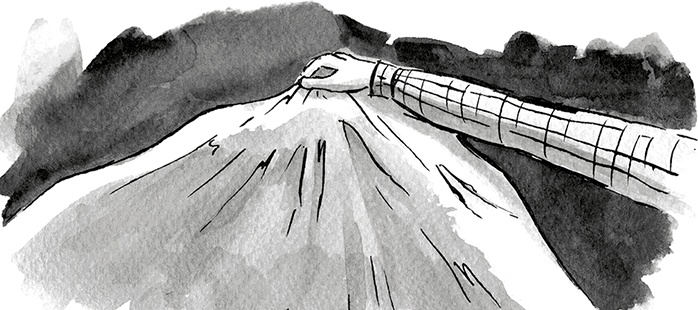 Иллюстрация к книге — Школа Жуткинса. Опасное дежурство [i_039.jpg]