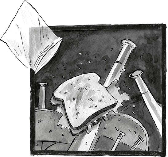 Иллюстрация к книге — Школа Жуткинса. Опасное дежурство [i_057.jpg]