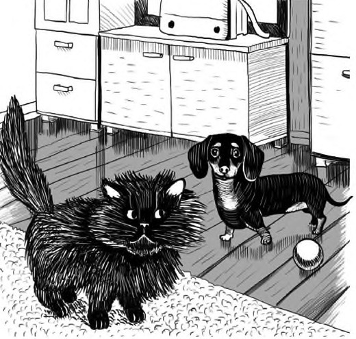 Иллюстрация к книге — Жил-был такс [i_005.jpg]