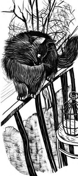 Иллюстрация к книге — Жил-был такс [i_012.jpg]