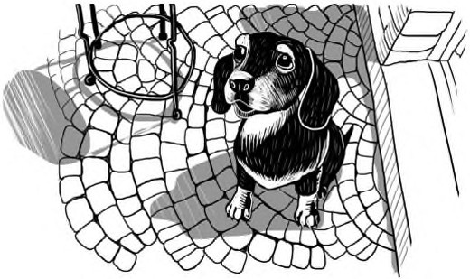 Иллюстрация к книге — Жил-был такс [i_013.jpg]