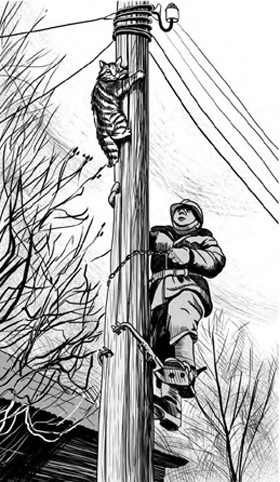 Иллюстрация к книге — Жил-был такс [i_015.jpg]