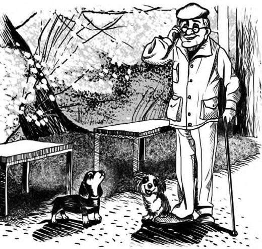 Иллюстрация к книге — Жил-был такс [i_018.jpg]