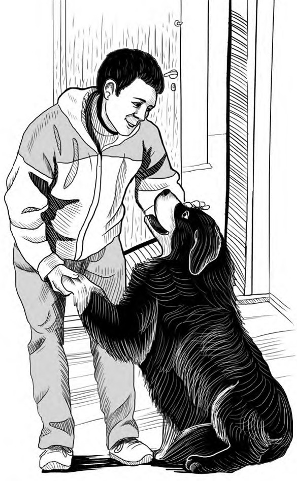 Иллюстрация к книге — Жил-был такс [i_023.jpg]