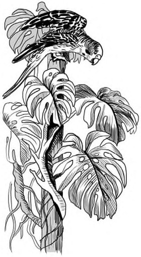 Иллюстрация к книге — Жил-был такс [i_028.jpg]