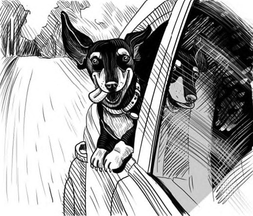 Иллюстрация к книге — Жил-был такс [i_029.jpg]