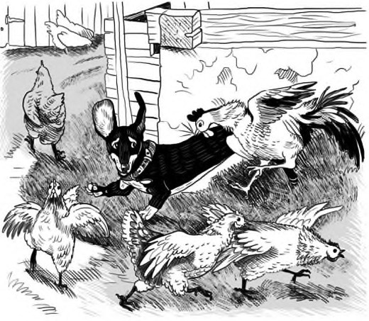 Иллюстрация к книге — Жил-был такс [i_030.jpg]