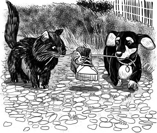 Иллюстрация к книге — Жил-был такс [i_031.jpg]