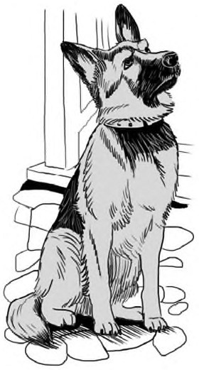 Иллюстрация к книге — Жил-был такс [i_034.jpg]