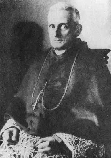 Иллюстрация к книге — Свидетель надежды. Иоанн Павел II. Книга 1 [i_009.jpg]