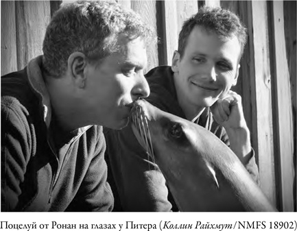 Иллюстрация к книге — Что значит быть собакой. И другие открытия в области нейробиологии животных [i_007.jpg]