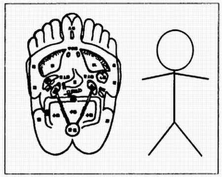 Иллюстрация к книге — Секреты китайских целителей: диагностика и лечение болезней по руке [_01.jpg]