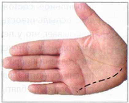 Иллюстрация к книге — Секреты китайских целителей: диагностика и лечение болезней по руке [_12.jpg]