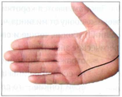 Иллюстрация к книге — Секреты китайских целителей: диагностика и лечение болезней по руке [_14.jpg]