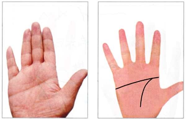 Иллюстрация к книге — Секреты китайских целителей: диагностика и лечение болезней по руке [_18.jpg]