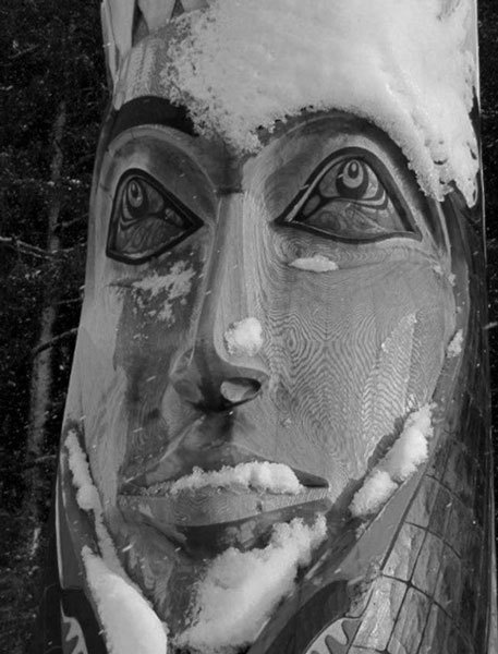 Иллюстрация к книге — США. PRO ET CONTRA. Глазами русских американцев [i_018.jpg]