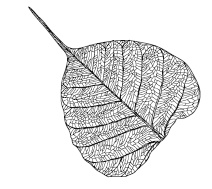 Иллюстрация к книге — Когда все рушится [i_015.jpg]