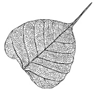 Иллюстрация к книге — Когда все рушится [i_019.jpg]