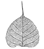 Иллюстрация к книге — Когда все рушится [i_027.jpg]