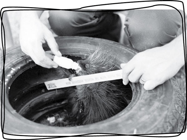 Иллюстрация к книге — Давай притворимся, что этого не было [i_010.jpg]