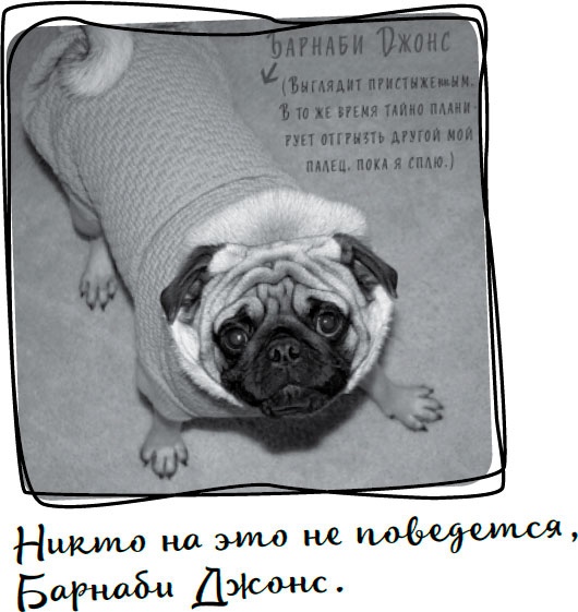 Иллюстрация к книге — Давай притворимся, что этого не было [i_035.jpg]