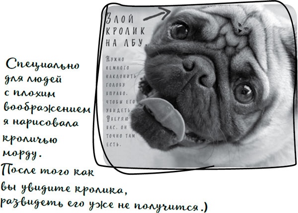 Иллюстрация к книге — Давай притворимся, что этого не было [i_039.jpg]