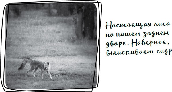 Иллюстрация к книге — Давай притворимся, что этого не было [i_041.jpg]