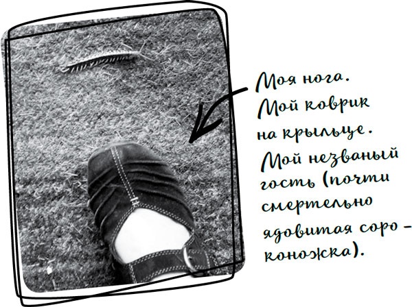 Иллюстрация к книге — Давай притворимся, что этого не было [i_042.jpg]