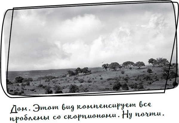 Иллюстрация к книге — Давай притворимся, что этого не было [i_047.jpg]