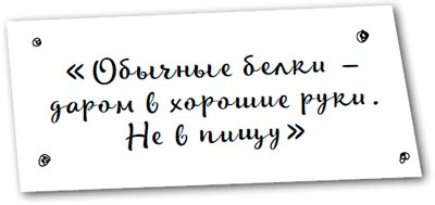 Иллюстрация к книге — Давай притворимся, что этого не было [i_051.jpg]
