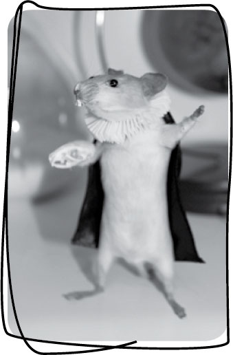 Иллюстрация к книге — Давай притворимся, что этого не было [i_055.jpg]