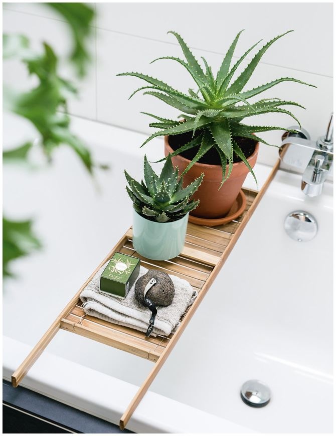 Иллюстрация к книге — Urban Jungle. Как создать уютный интерьер с помощью растений [i_008.jpg]