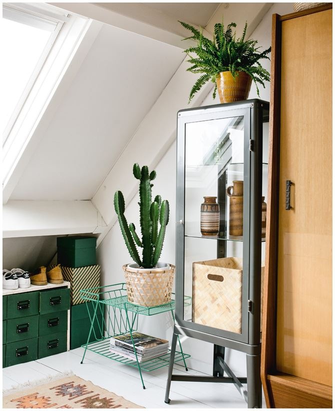 Иллюстрация к книге — Urban Jungle. Как создать уютный интерьер с помощью растений [i_018.jpg]