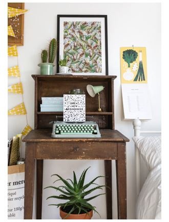 Иллюстрация к книге — Urban Jungle. Как создать уютный интерьер с помощью растений [i_020.jpg]