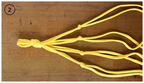 Иллюстрация к книге — Urban Jungle. Как создать уютный интерьер с помощью растений [i_025.jpg]