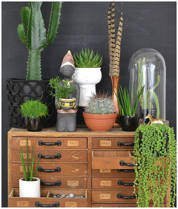 Иллюстрация к книге — Urban Jungle. Как создать уютный интерьер с помощью растений [i_038.jpg]