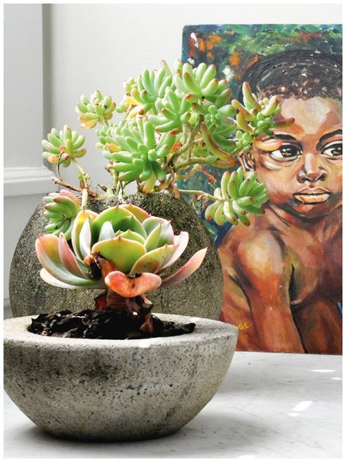 Иллюстрация к книге — Urban Jungle. Как создать уютный интерьер с помощью растений [i_039.jpg]