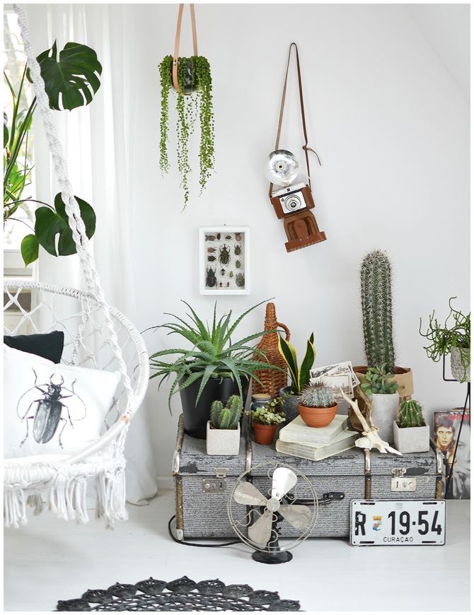 Иллюстрация к книге — Urban Jungle. Как создать уютный интерьер с помощью растений [i_055.jpg]