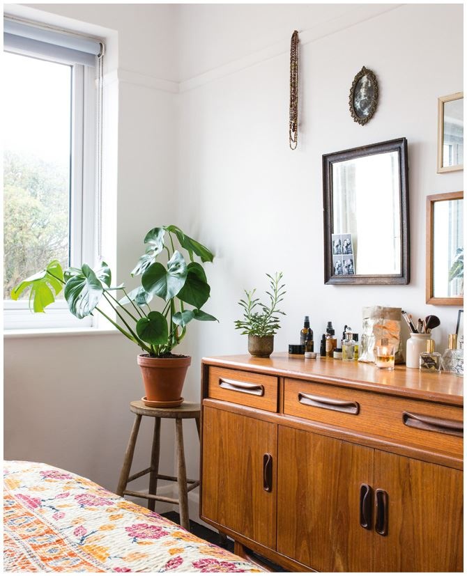 Иллюстрация к книге — Urban Jungle. Как создать уютный интерьер с помощью растений [i_067.jpg]