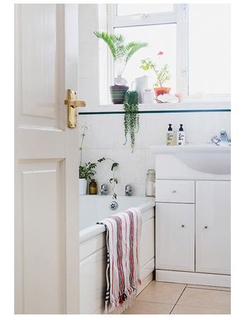 Иллюстрация к книге — Urban Jungle. Как создать уютный интерьер с помощью растений [i_069.jpg]