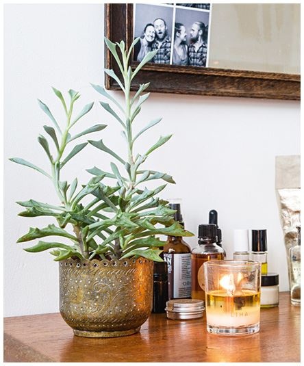 Иллюстрация к книге — Urban Jungle. Как создать уютный интерьер с помощью растений [i_070.jpg]