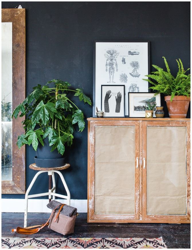 Иллюстрация к книге — Urban Jungle. Как создать уютный интерьер с помощью растений [i_071.jpg]