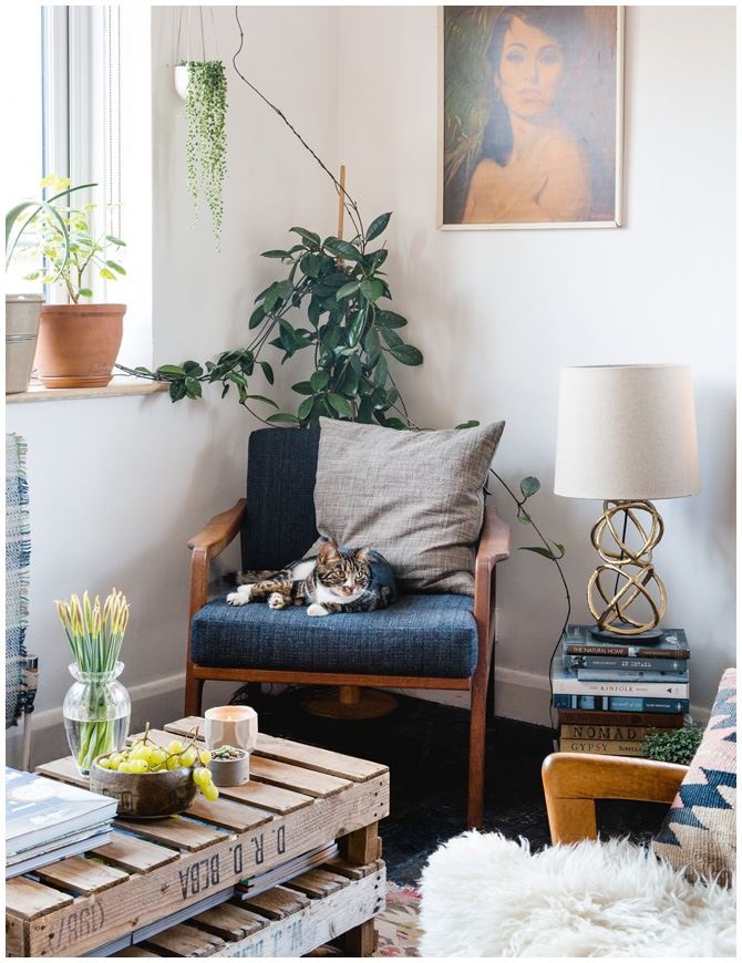 Иллюстрация к книге — Urban Jungle. Как создать уютный интерьер с помощью растений [i_073.jpg]