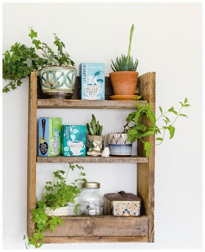 Иллюстрация к книге — Urban Jungle. Как создать уютный интерьер с помощью растений [i_074.jpg]