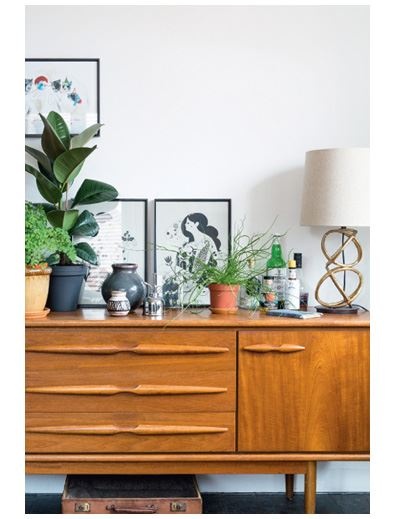 Иллюстрация к книге — Urban Jungle. Как создать уютный интерьер с помощью растений [i_077.jpg]