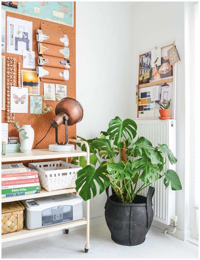 Иллюстрация к книге — Urban Jungle. Как создать уютный интерьер с помощью растений [i_093.jpg]