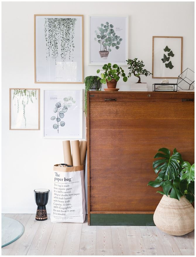 Иллюстрация к книге — Urban Jungle. Как создать уютный интерьер с помощью растений [i_099.jpg]