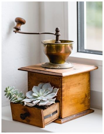 Иллюстрация к книге — Urban Jungle. Как создать уютный интерьер с помощью растений [i_103.jpg]